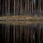 Fot. Renata Zwięglińska