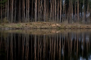 Fot. Renata Zwięglińska
