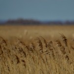 Fot. Renata Zwięglińska