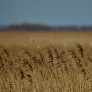 Fot. Renata Zwięglińska