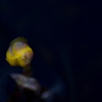 Fot. Renata Zwięglińska