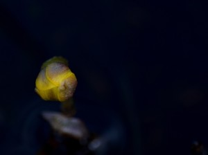 Fot. Renata Zwięglińska