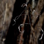 Fot. Renata Zwięglińska