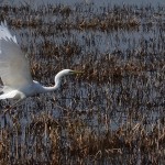 Fot. Renata Zwięglińska