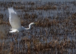 Fot. Renata Zwięglińska
