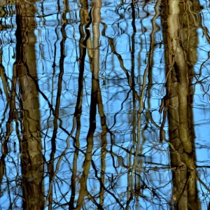 Fot. Renata Zwięglińska