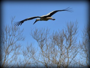 Fot. Renata Zwięglińska