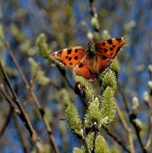 Fot. Renata Zwięglińska