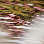 Fot. Weronika Banaszczyk