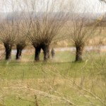 Fot. Agata Łęgowska