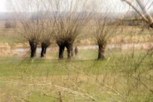 Fot. Agata Łęgowska