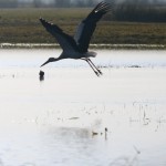 Fot. Agata Łęgowska