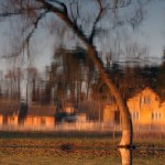 Fot. Agata Łęgowska