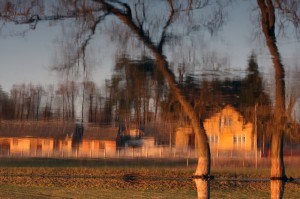 Fot. Agata Łęgowska