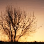 Fot. Agata Łęgowska