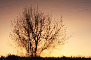 Fot. Agata Łęgowska