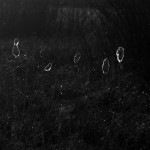 Fot. Agata Łęgowska