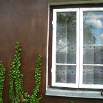 Fot. Bożena Królikowska