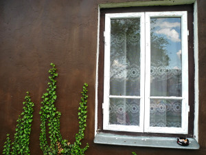 Fot. Bożena Królikowska