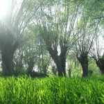 Fot. Bożena Królikowska