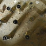 Fot. Bożena Królikowska