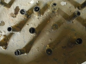 Fot. Bożena Królikowska