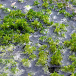 Fot. Bożena Królikowska