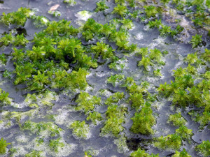 Fot. Bożena Królikowska