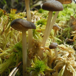 Fot. Bożena Królikowska