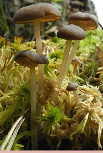 Fot. Bożena Królikowska