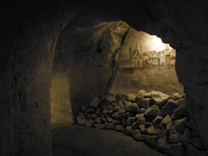 Fot. Bożena Królikowska