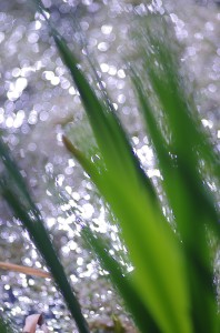 Fot. Jerzy Kołodziejski