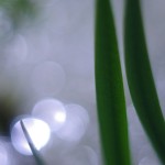 Fot. Jerzy Kołodziejski