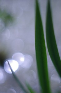 Fot. Jerzy Kołodziejski