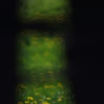 Fot. Jerzy Kołodziejski