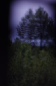 Fot. Jerzy Kołodziejski