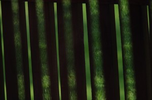 Fot. Jerzy Kołodziejski