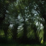 Fot. Jerzy Kołodziejski