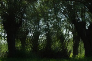 Fot. Jerzy Kołodziejski