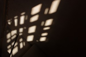 Fot. Jerzy Kołodziejski