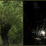 Fot. Magdalena Szutarska