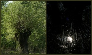 Fot. Magdalena Szutarska