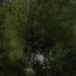 Fot. Magdalena Szutarska