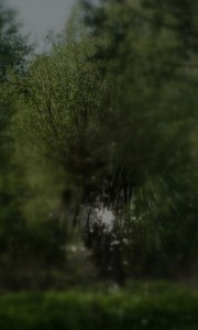 Fot. Magdalena Szutarska