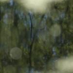 Fot. Magdalena Szutarska