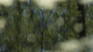 Fot. Magdalena Szutarska