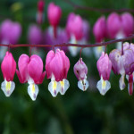 Fot. Magdalena Szutarska