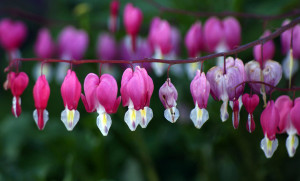 Fot. Magdalena Szutarska