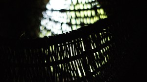 Fot. Magdalena Szutarska