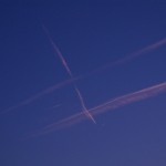 Fot. Magdalena Szutarska